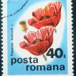 Selo postal da Romênia de 1975 Long-headed Poppy