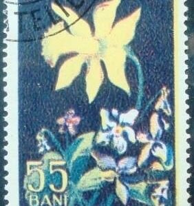 Selo postal da Romênia de 1956 Viola odorata