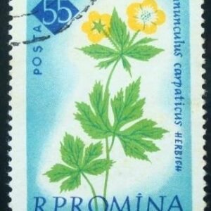 Selo postal da Romênia de 1961 Buttercup