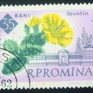 Selo postal da Romênia de 1961 Prickly pears