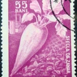 Selo postal da Romênia de 1959 Sugar beet
