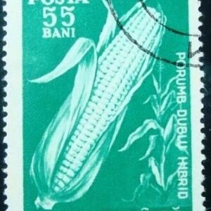 Selo postal da Romênia de 1959 Maize