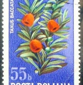 Selo postal da Romênia de 1974 European Yew
