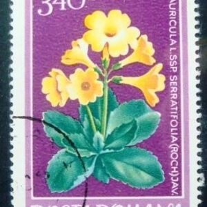 Selo postal da Romênia de 1979 Primula