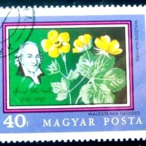 Selo postal da Hungria de 1971 Josef Jacob Winterl