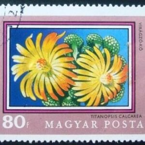 Selo postal da Hungria de 1971 Titanopsis calcarea