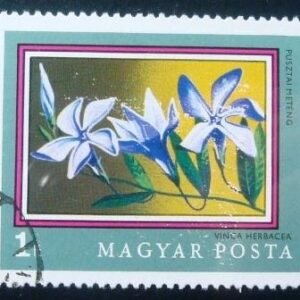 Selo postal da Hungria de 1971 Herbaceous Periwinkle