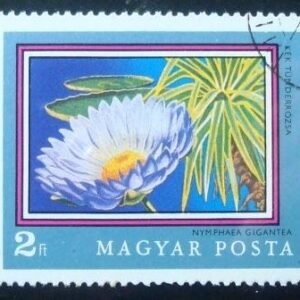 Selo postal da Hungria de 1971 Blue Waterlily