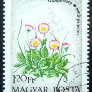 Selo postal da Hungria de 1973 English daisies