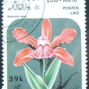 Selo postal do Laos de 1987 Paphiopedilum hybrid 44