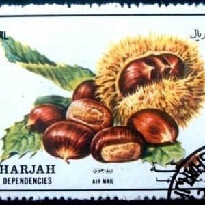 Selo postal de Sharjah de 1972 Chestnut