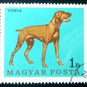 Selo postal da Hungria de 1967 Magyar Vizsla
