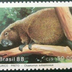 Selo postal do Brasil de 1988 Ouriço Preto N