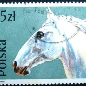 Selo postal da Polônia de 1989 Lippizan