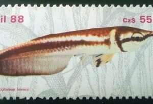 Selo postal COMEMORATIVO do Brasil de 1988 - C 1609 N