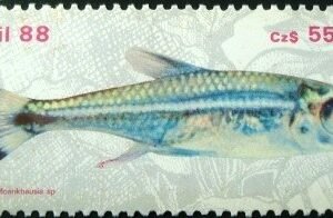 Selo postal do Brasil de 1988 Neon Verde