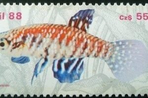 Selo postal do Brasil de 1988 Cynolebia