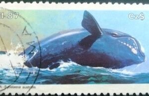 Selo postal COMEMORATIVO do Brasil de 1986 - C 1550 U