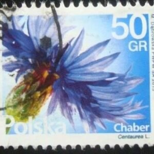 Selo postal da Polônia de 2016 Coneflower