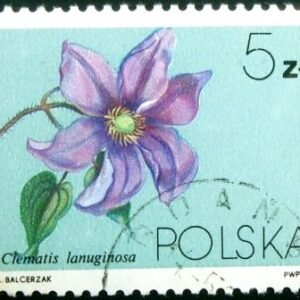 Selo postal da Polônia de 1984 Clematis lanuginosa