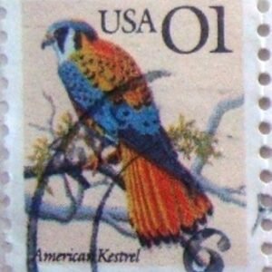 Selo postal dos Estados Unidos de 1991 American Kestrel U
