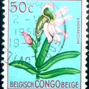 elo postal do Congo Belga de 1952 Eurychone galeandrae U