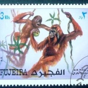 Selo postal de Fujeira de 1972 Orang-Utans