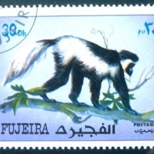 Selo postal de Fujeira de 1972 Mantled Guereza