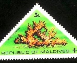 Selo postal das Maldivas de 1975 Scleractinian Coral