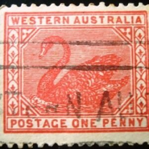 Imagem do produto ofertado - Se desejar peça mais detalhes