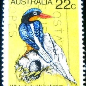 Selo postal Austrália 1980 Buff-brested Paradise Kingfisher - 705 U