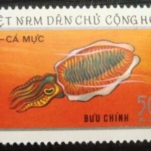Selo postal do Vietnam de 1974 Common Cuttlefish