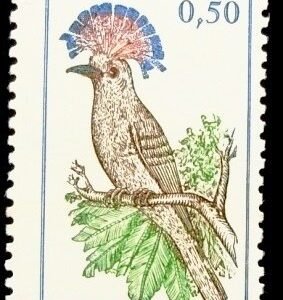Selo postal do Brasil de 1968 Papa-mosca N