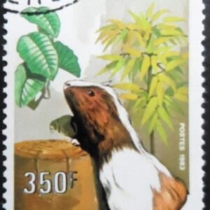 Selo postal de Camarões de 1983 Guinea Pig