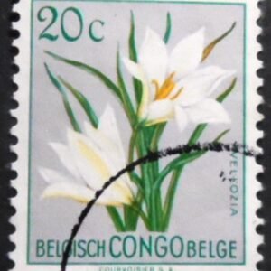 Selo postal do Congo Belga de 1952 Vellozia aequatorialis U