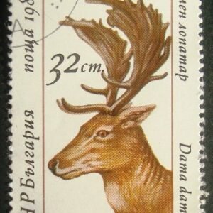 Selo postal da Bulgária de 1987 Common Fallow Deer N