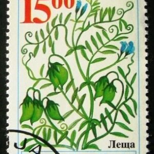 Selo postal da Bulgária de 1995 Lentil NCC