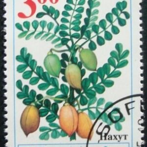 Selo postal da Bulgária de 1995 Chick Pea NCC