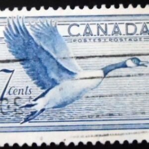 Selo postal do Canadá de 1952 Canada Goose 7 U