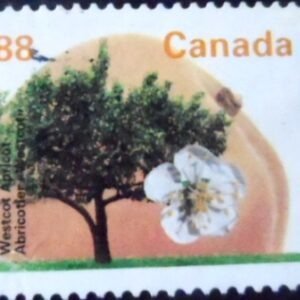 Selo postal do Canadá de 1992 Bartlett Pear 86 Hu U