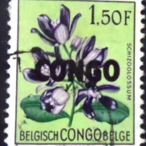 Selo do Congo Belga de 1960 Schizoglossum Eximium overprinted CONGO U