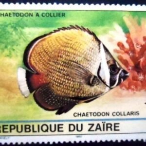 Selo postal do Zaire de 1980 Collared Butterflyfish M