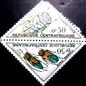 Se-tenant da Rep Cetro Africana de 1962 Jewel Longhorn Beetle and Sternotomis viresce P MCC