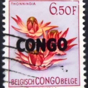 Selo postal da Rep Dem Congo de 1960 Thonningia sanguinea overprinted CONGO 6.50 U