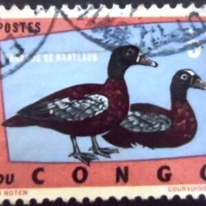 Selo postal da Rep Dem Congo de 1963 Hartlaub's Duck 5 U