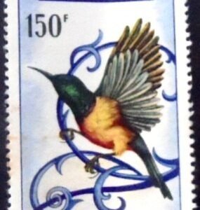 Selo postal da Rep do Congo de 1967 Regal Sunbird N