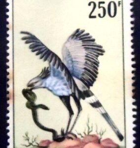 Selo postal da Rep do Congo de 1967 Secretarybird N