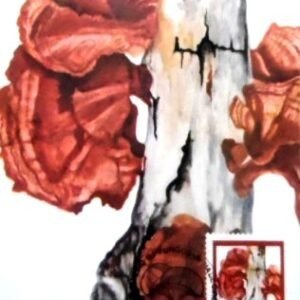 Máximo postal nº 104 de 1984 Fungo 120 RJ 1418