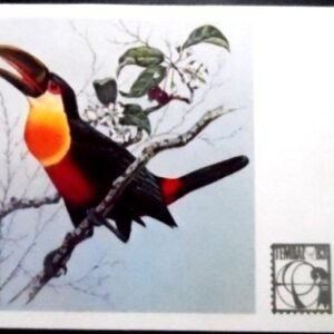 Cartão Postal Oficial de 1983 Tucano de Bico Verde 3267