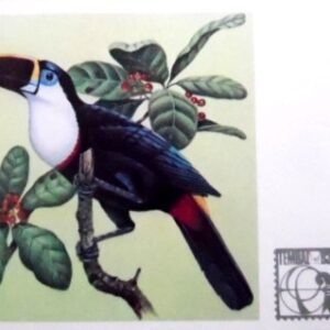 Cartão Postal Oficial de 1983 Peito-branco 22269